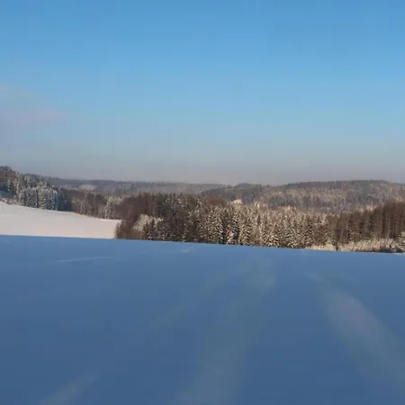 Forest-edge In Bohemia *