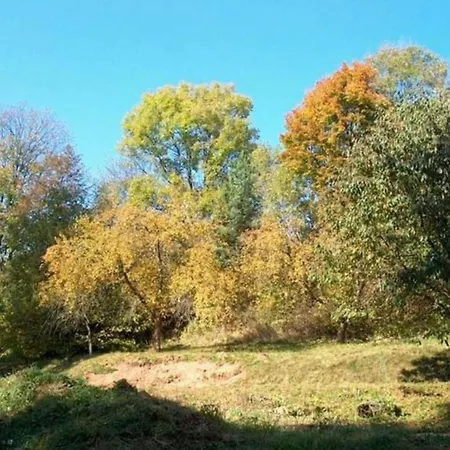 Forest-edge In Bohemia * Stupná