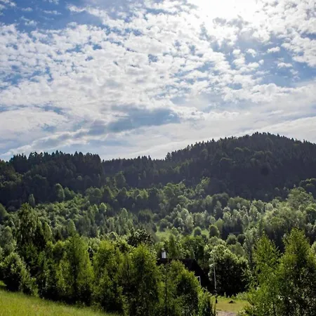 Forest-edge In Bohemia * Stupná